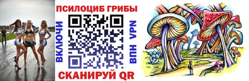купить   Миньяр  Псилоцибиновые грибы мицелий 